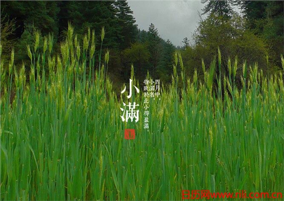 小满